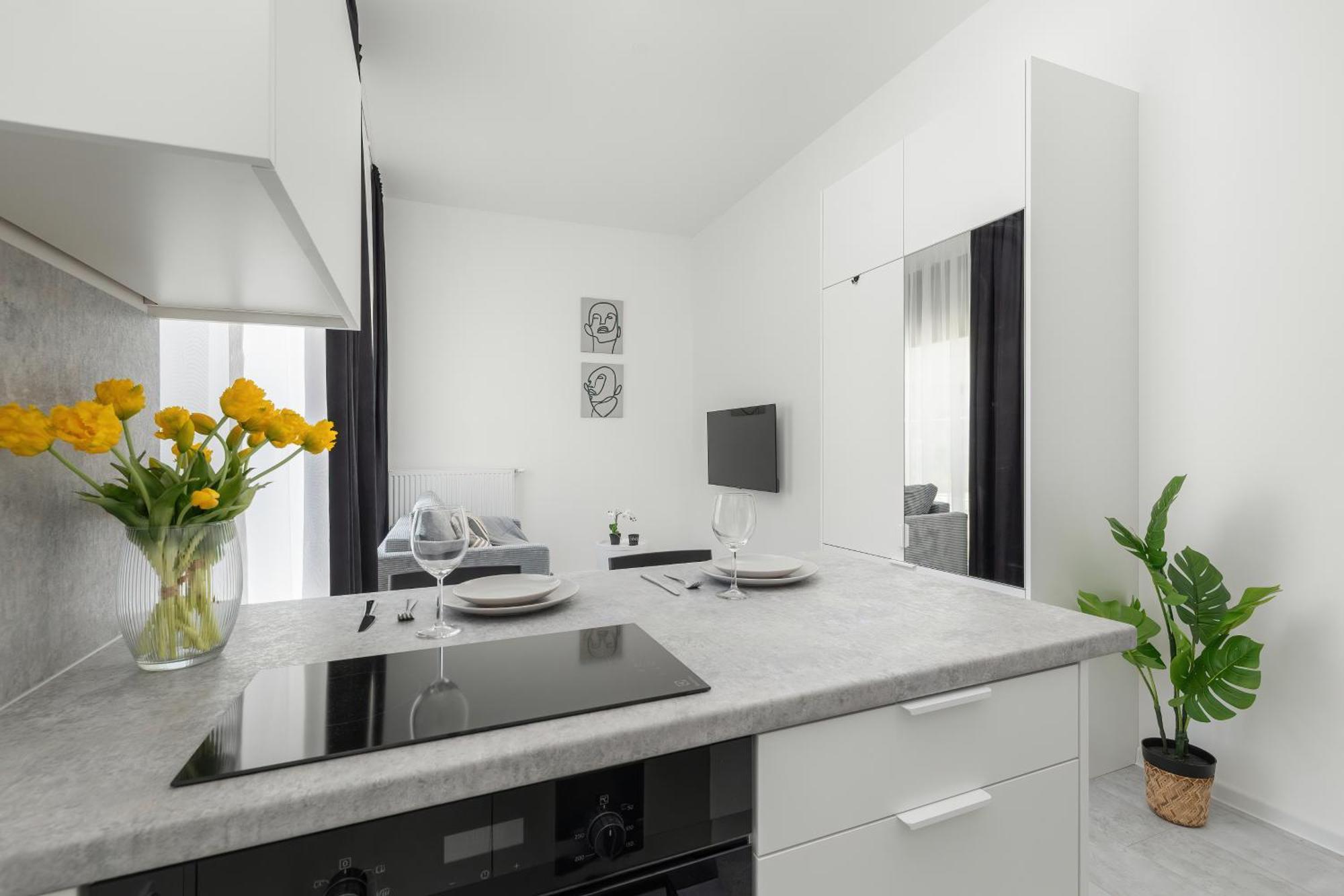 Apartment Comfortable With Parking In By Renters Stettin